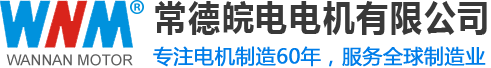 常德皖電電機(jī)有限公司